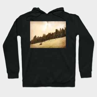 Sepia Snow Forest Hoodie